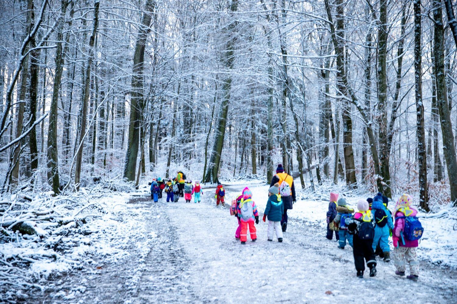 ISL-forest-school-accreditation-2