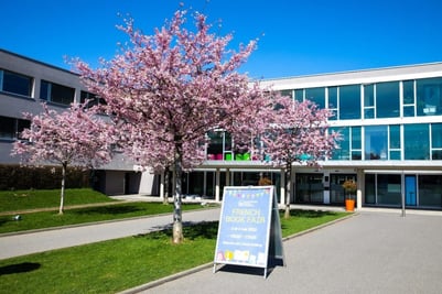 cherry-blossom-tree-isl