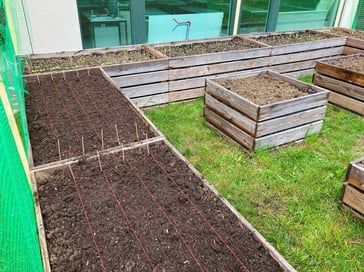 community-garden-4
