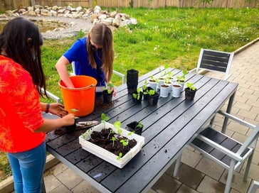 community-garden-isl-2