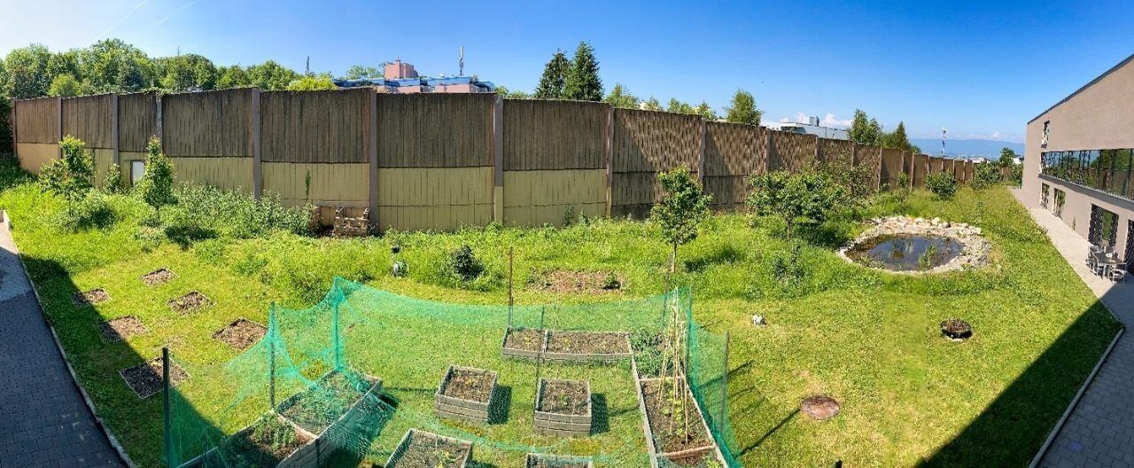 garden-transformation-isl-1