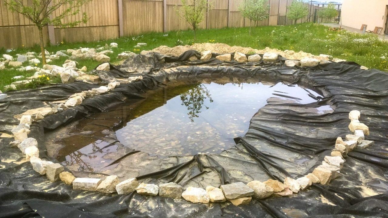 pond-community-garden-isl-3