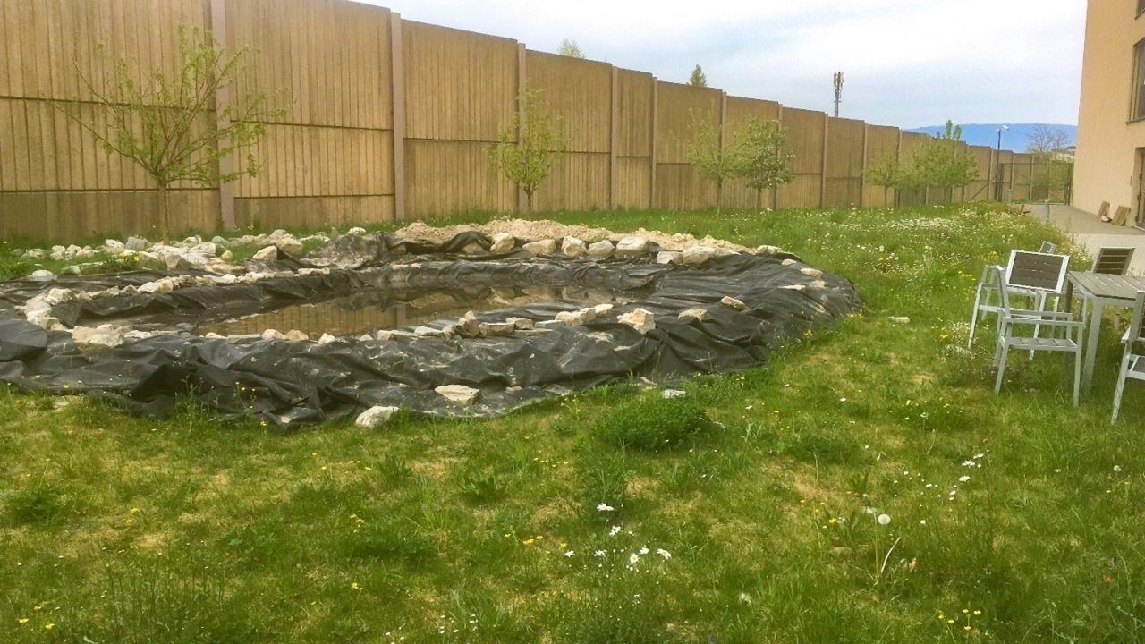 pond-community-garden-isl-4