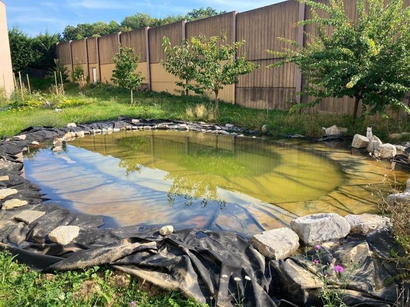 pond-community-garden-isl
