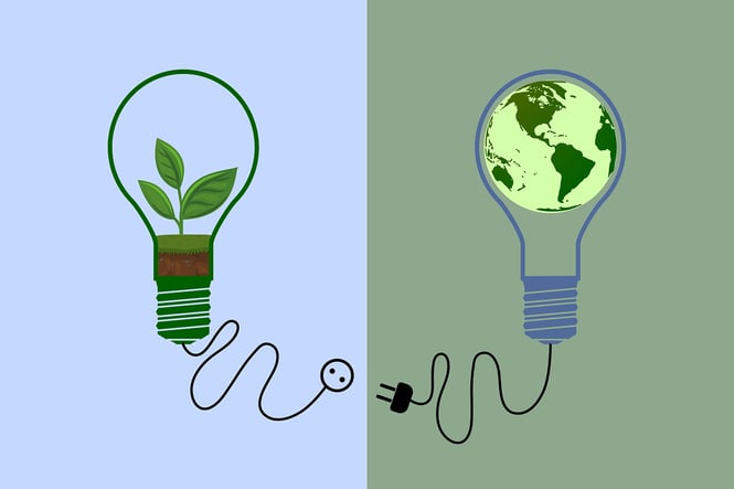 the-sustainability-fair