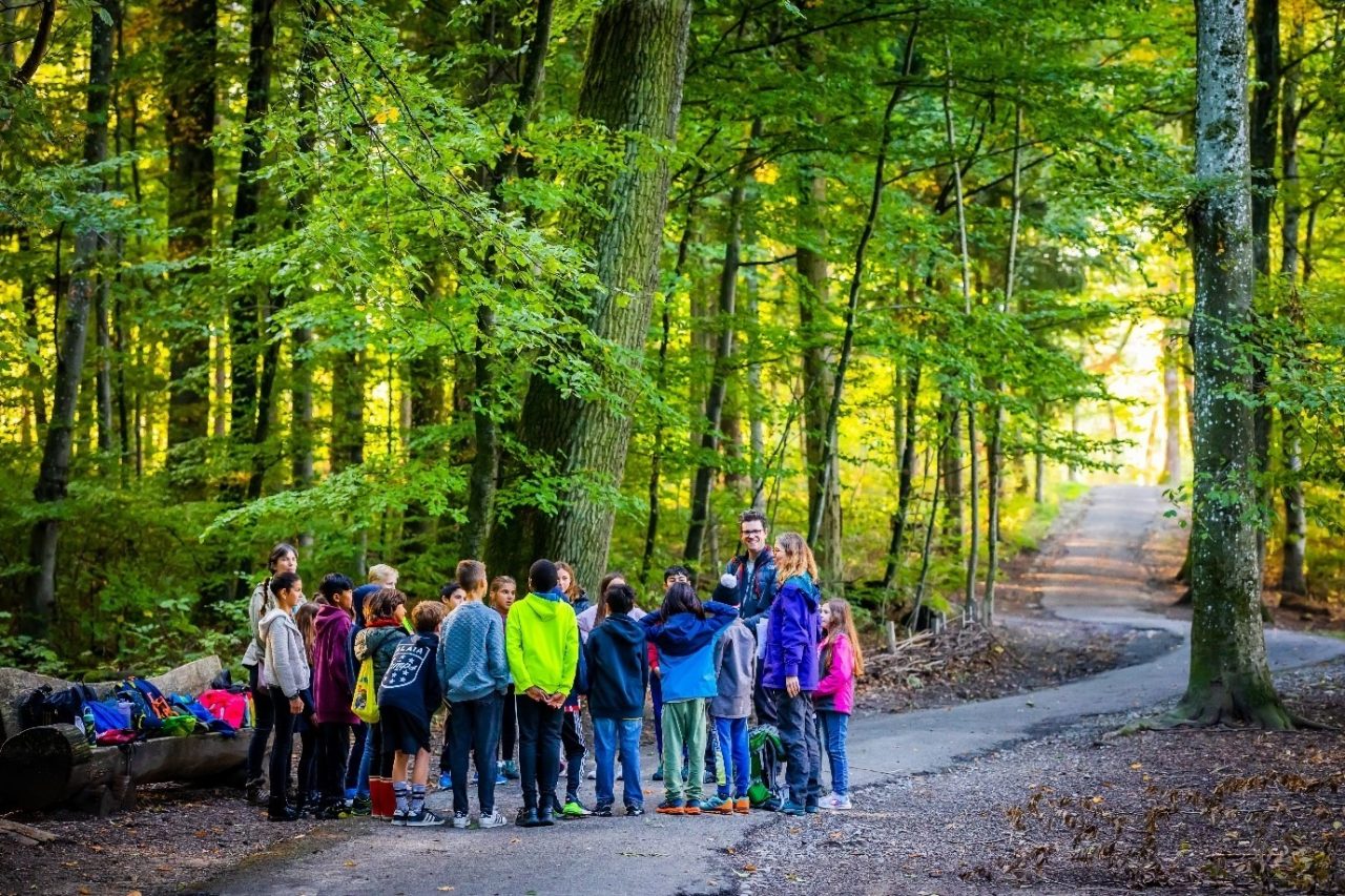 ISL Dual Language Year 6 students walking in the woods